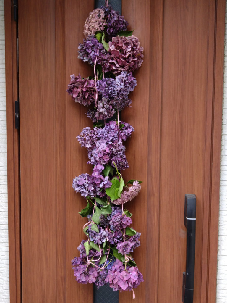 玄関ドアに吊るされたアジサイの花